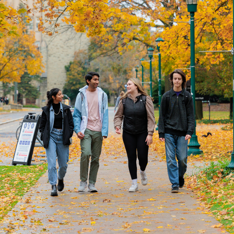 Four people walk along a tree-lined campus path in autumn, surrounded by vibrant yellow and orange foliage and fallen leaves