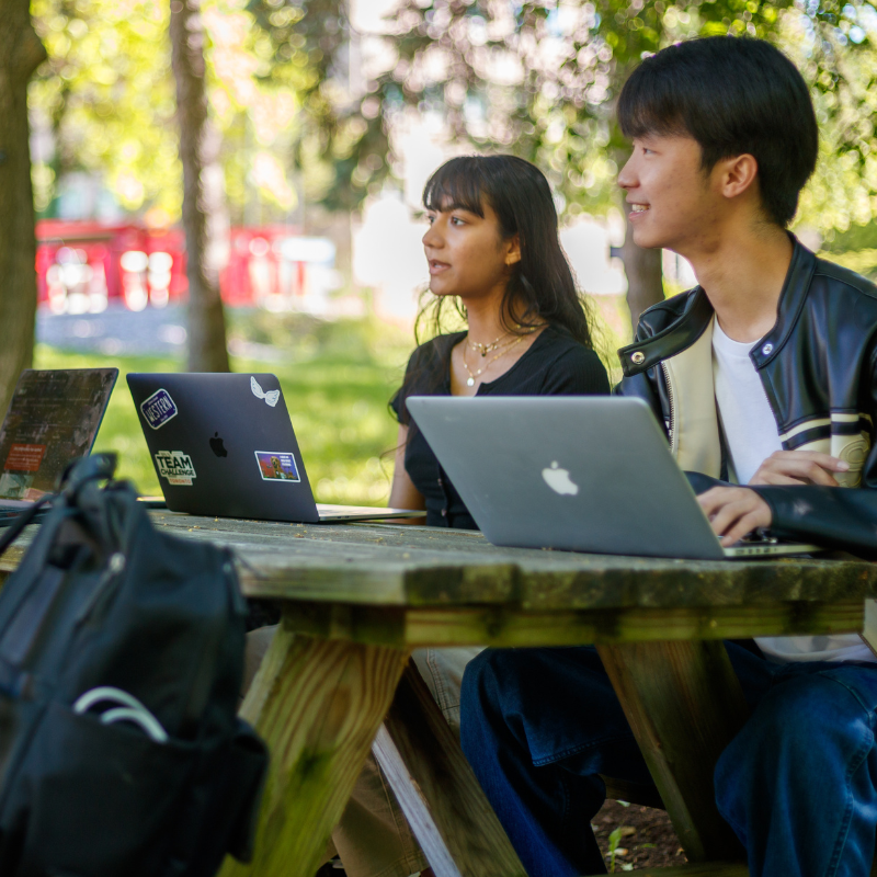 A group of students sitting at a picnic table on campus studying together
