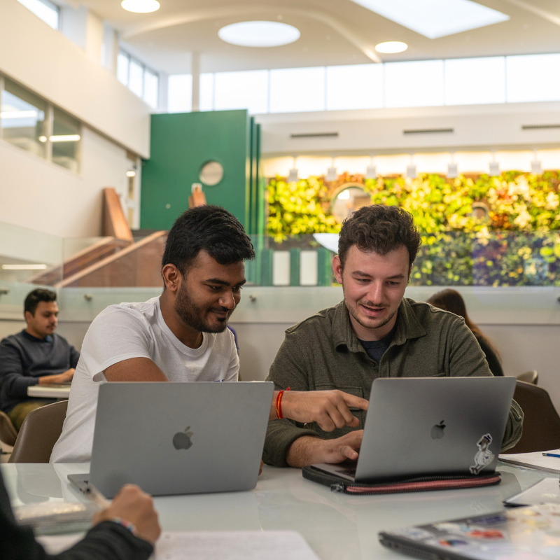 Two people working together on laptops in a modern indoor study space
