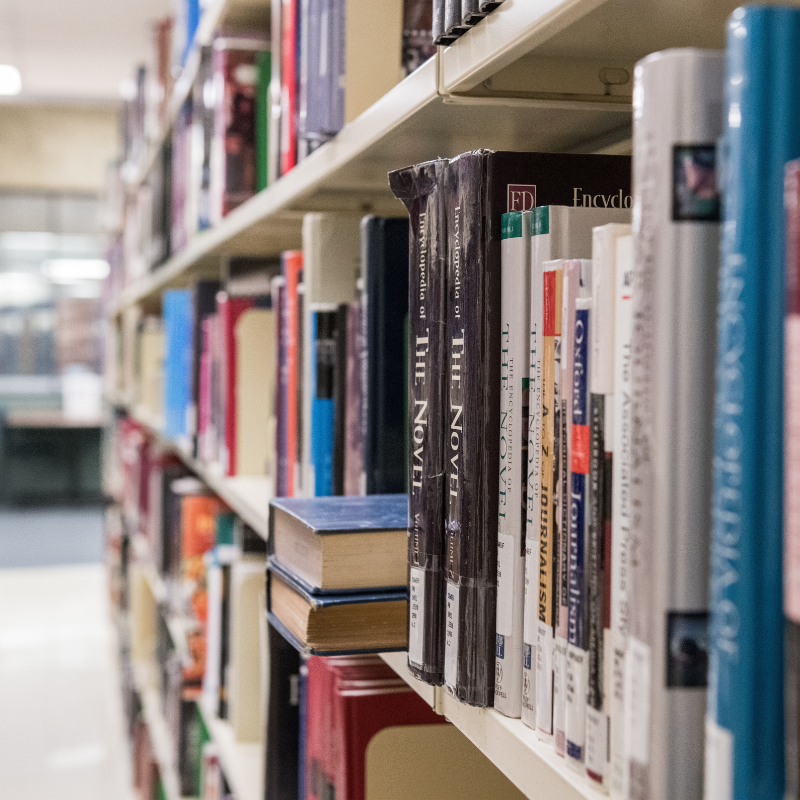 A bookshelf in weldon