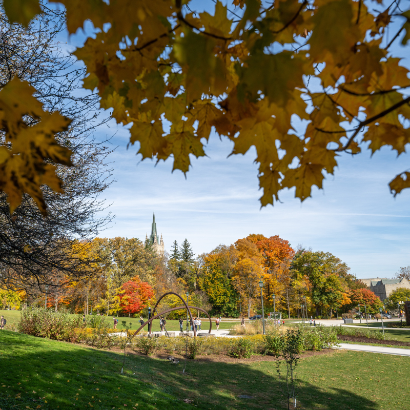 Students walking up University Hill on a fall day