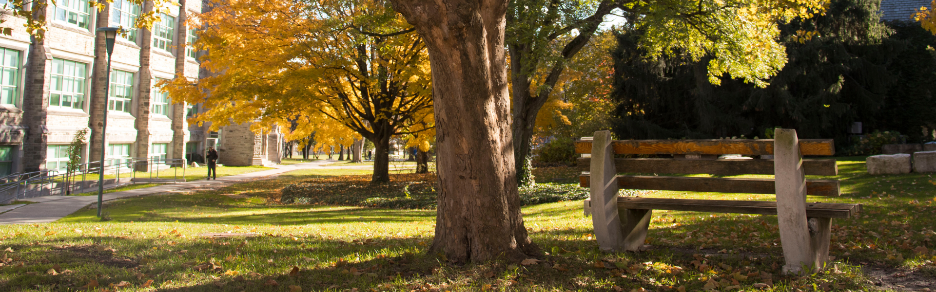 A bench on campus surrounded by fall trees
