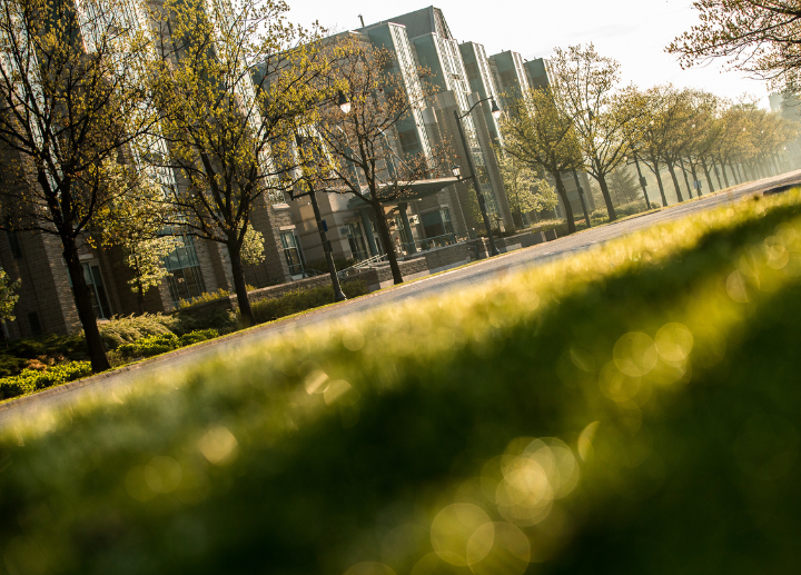 A photo of campus