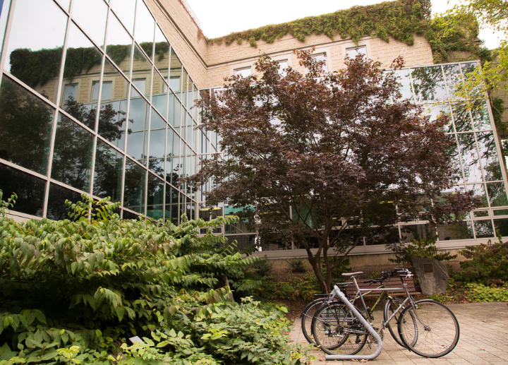 Exterior of a glass building with ivy, landscaped greenery, and two bicycles near a bench.
