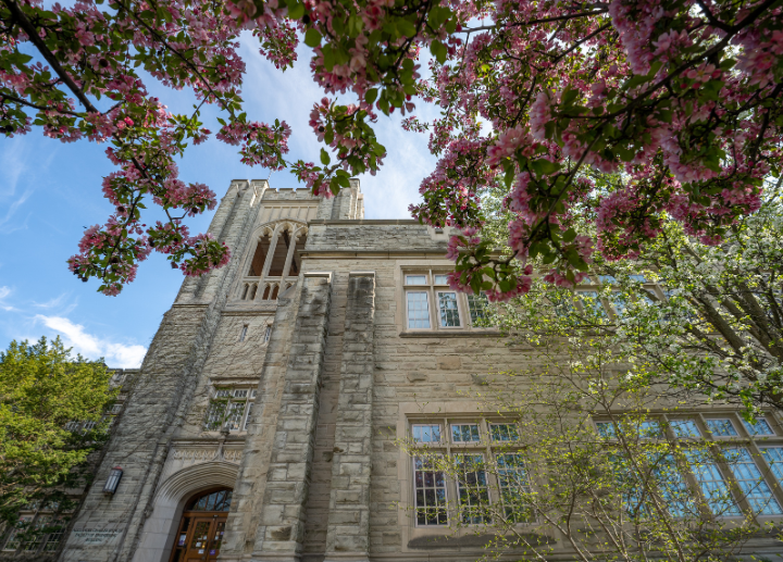 Campus in the spring