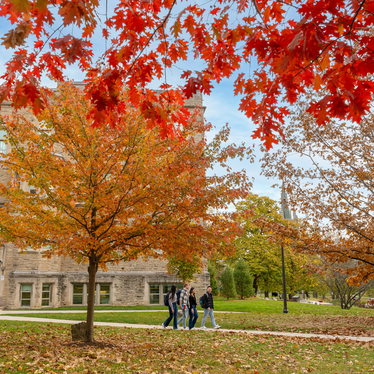 A group of students walking through campus in the fall